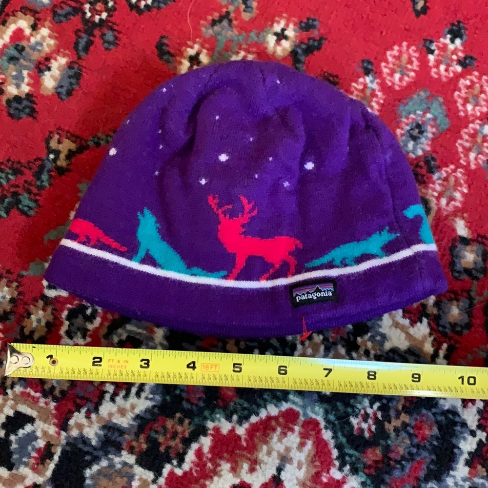 Patagonia beanie